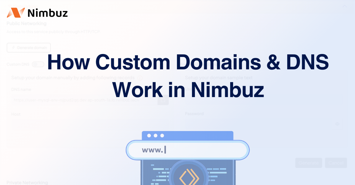 How Custom Domains & DNS Work in Nimbuz